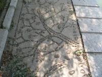 Albums/20060800-China Aug 2006/20060804-Shenyang University/61